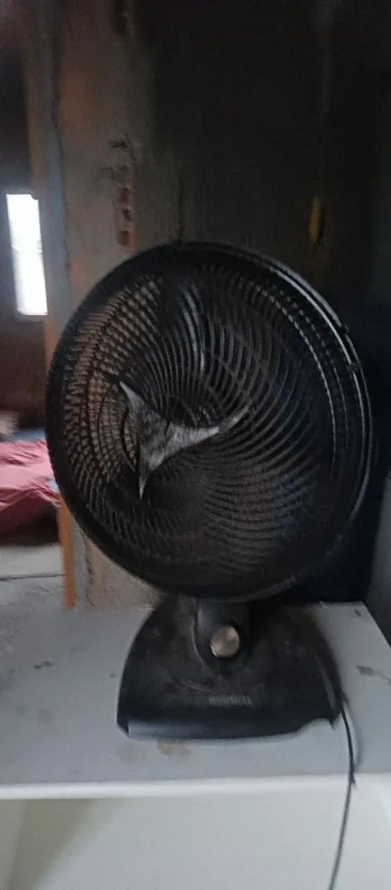 Vendo ventilador - Foto 3