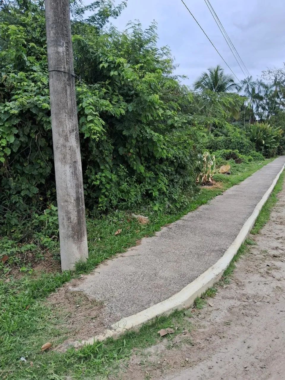 Terreno  - Foto 2