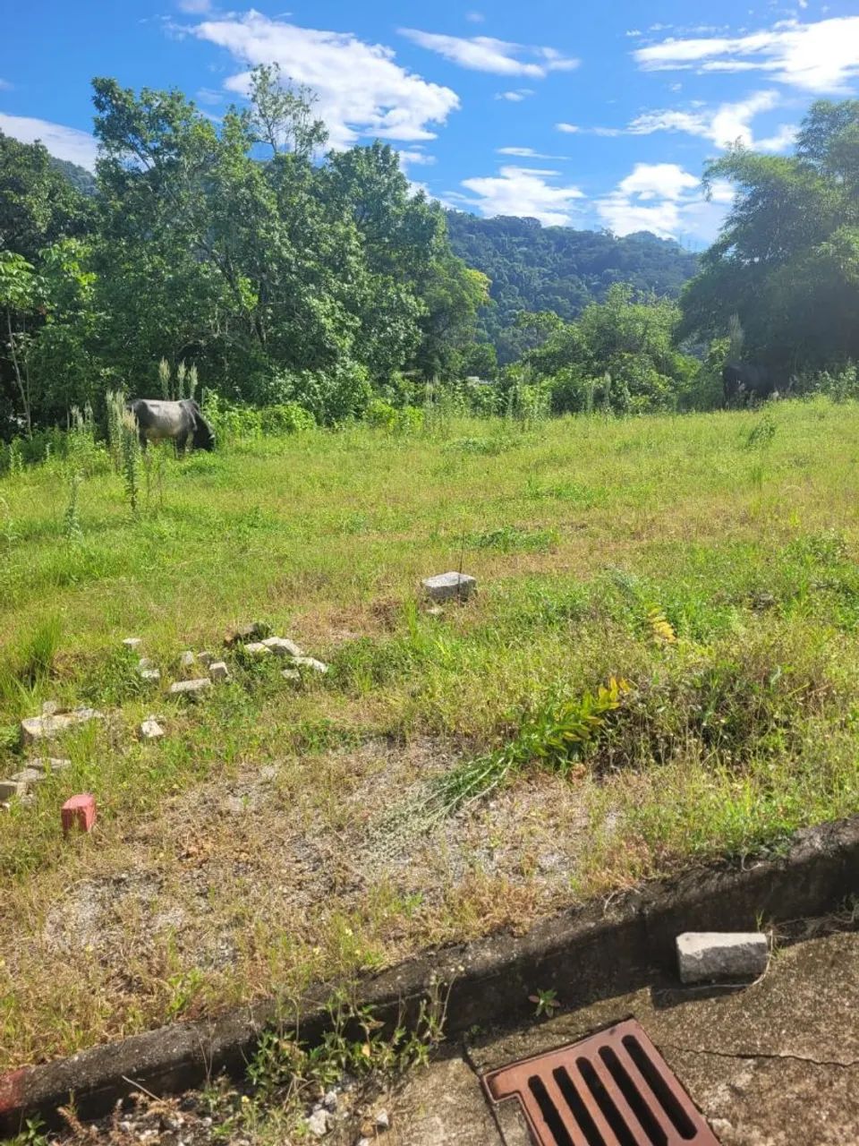 Terreno no Parque Equitativa  - Foto 4