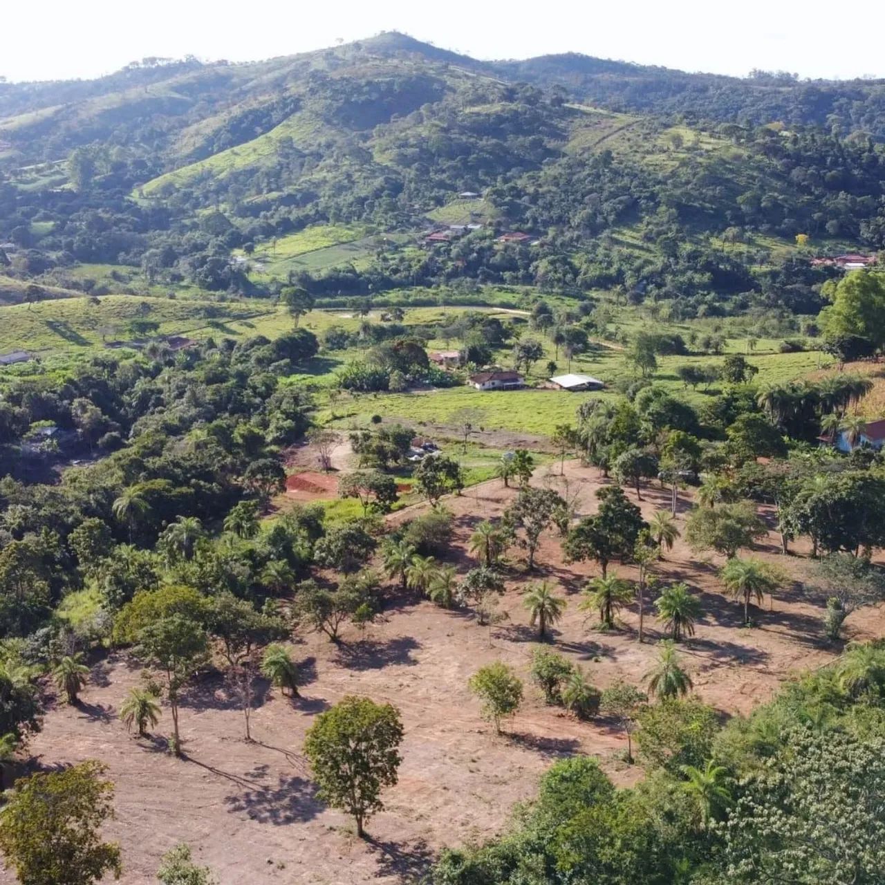 Terreno nos Queiroz mateus leme  - Foto 3