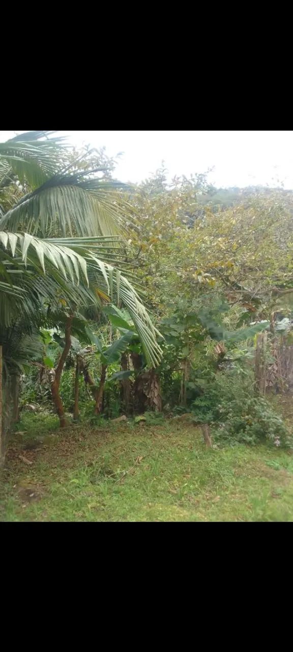 Vendendo uma chácara  - Foto 5