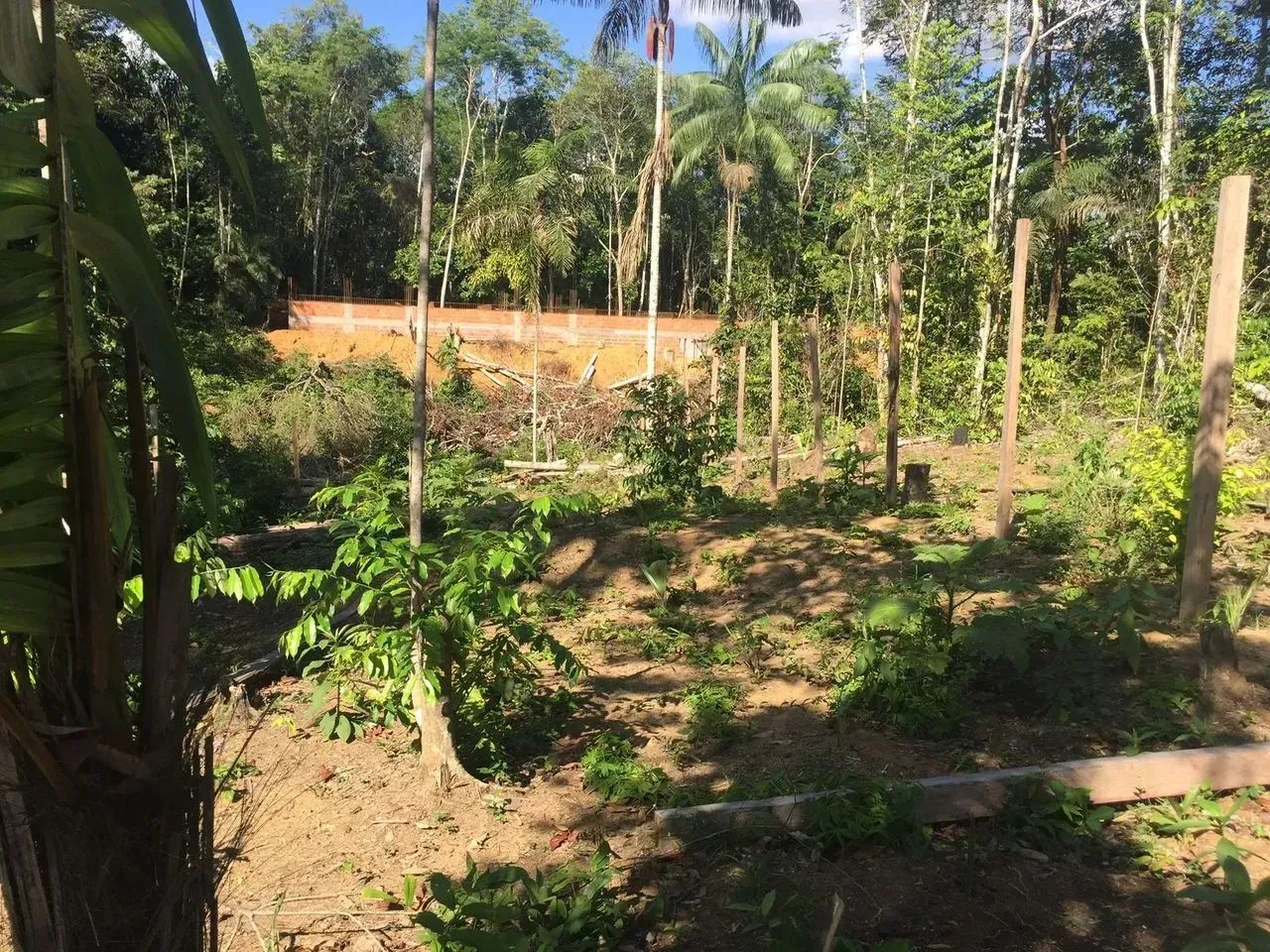 ...Vendo lote na estrada do cetur . - Foto 5