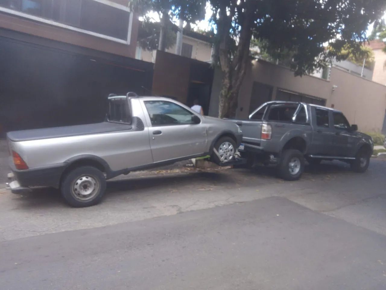 Guincho asa - Foto 2