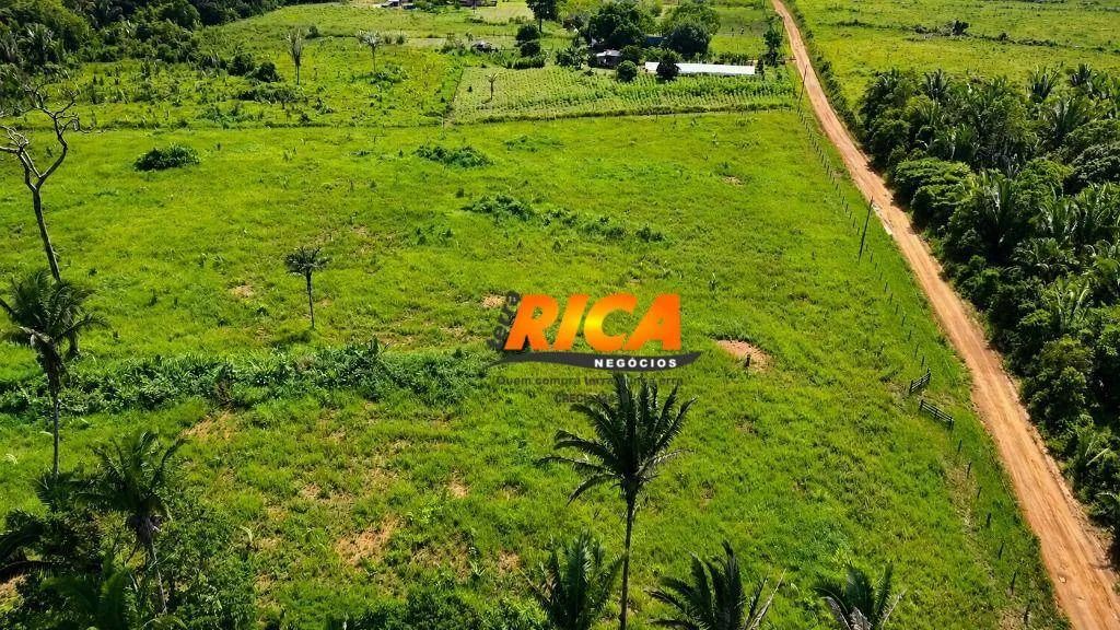 Fazenda à venda - 37 km de Porto Velho /RO - Foto 4