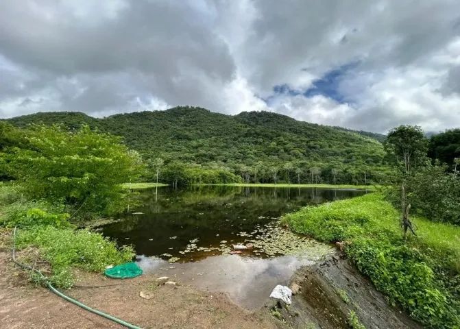 Sítio a venda em Pacatuba de 48,7 hectares  - Foto 3