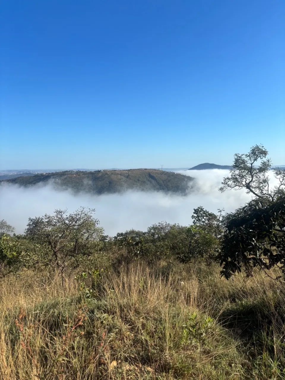 Lotes em Sabará  - Foto 3