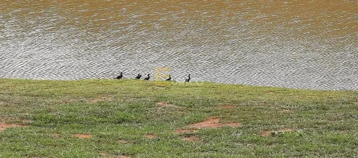 Terreno em Condomínio à venda no Condomínio Residencial Ventura em Itatiba/SP - Foto 5