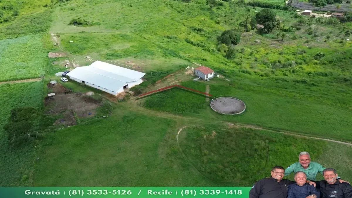 HARAS COMPLETO À VENDA EM POMBOS  PE - Foto 3