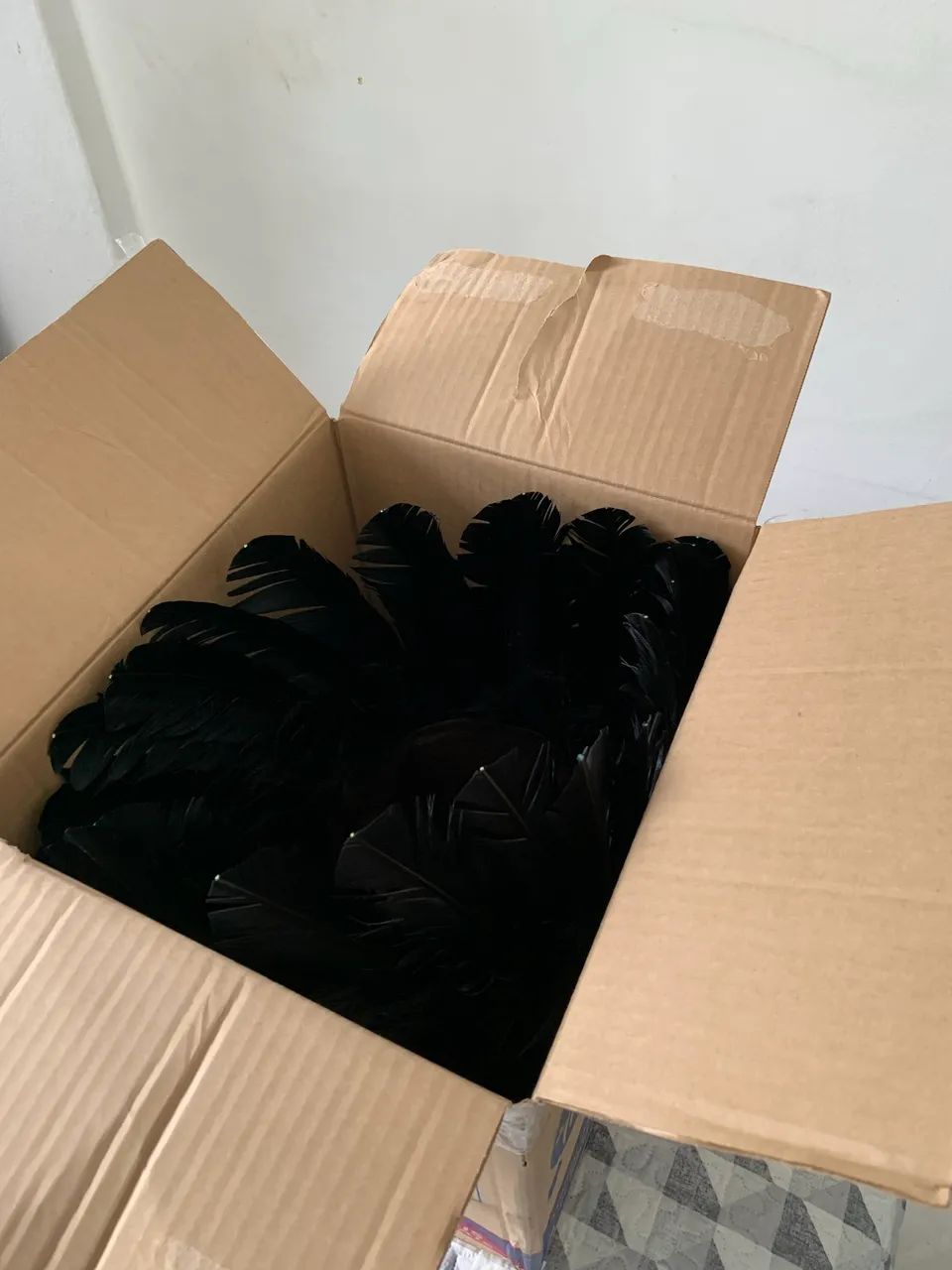 Cocá indígena  - Foto 2