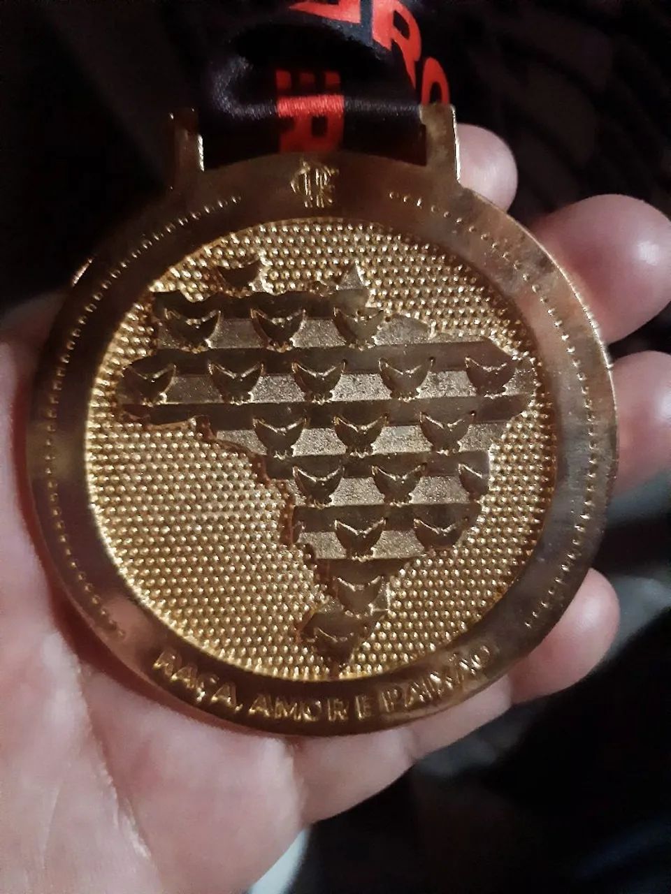 2019 Brazilian Champion Medal!