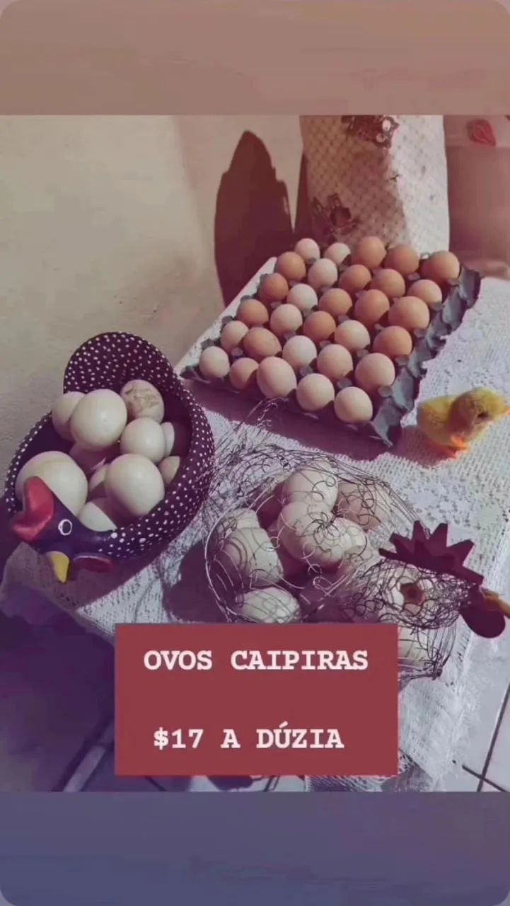 QUEIJOS, DOCES, OVOS CAIPIRAS  - Foto 2