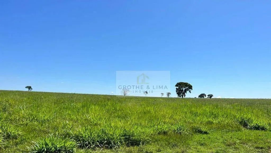 Fazenda à Venda  118 Alqueires  Batayporã/MS - Foto 4