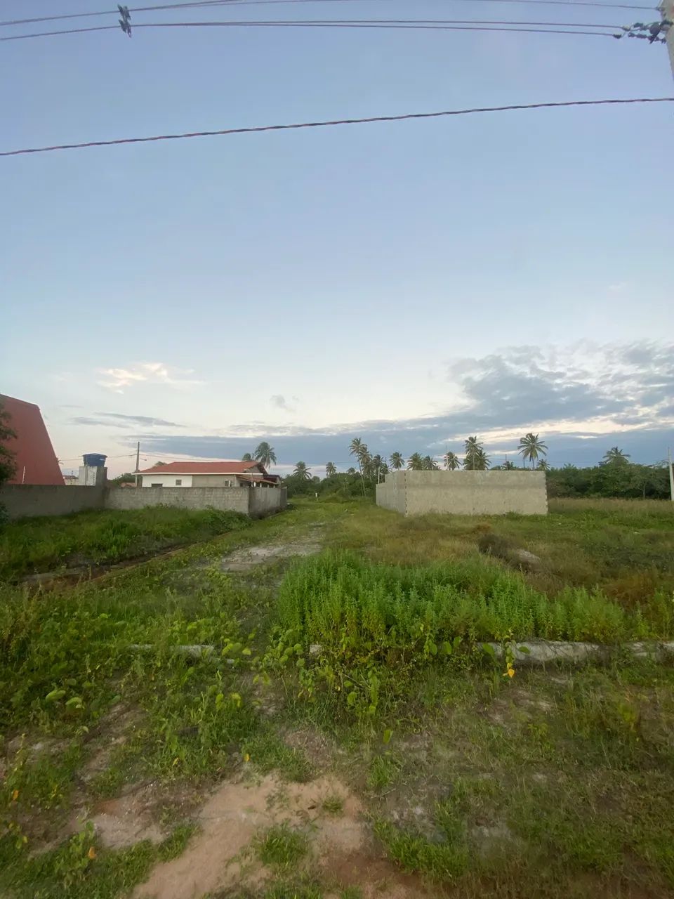 Repasso Lote em Lucena - Foto 5