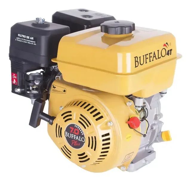 Motor 6.5 CV