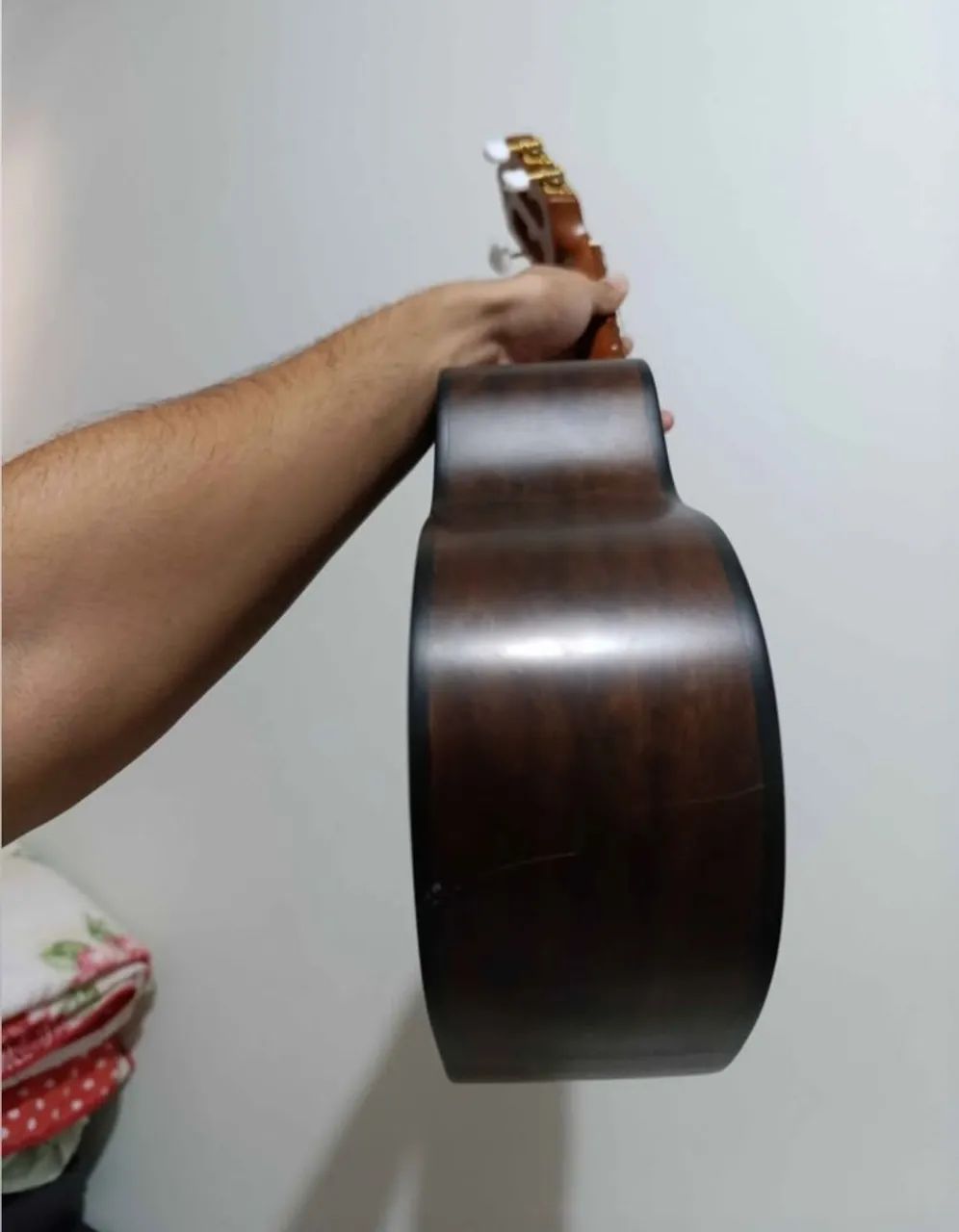 CAVAQUINHO GIANINNI RAIZ  - Foto 4
