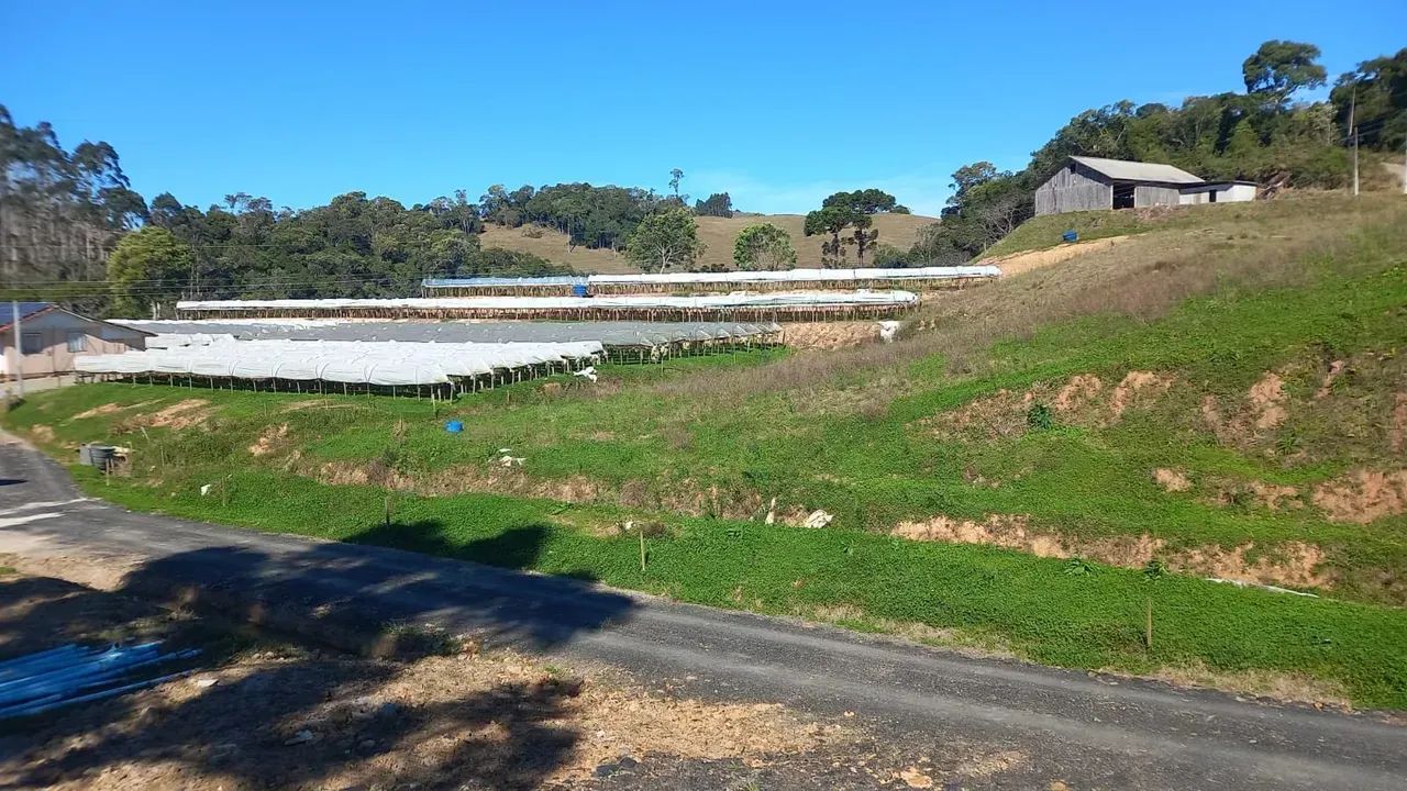 Terreno em Rancho Queimado 16.000 m² - Foto 3