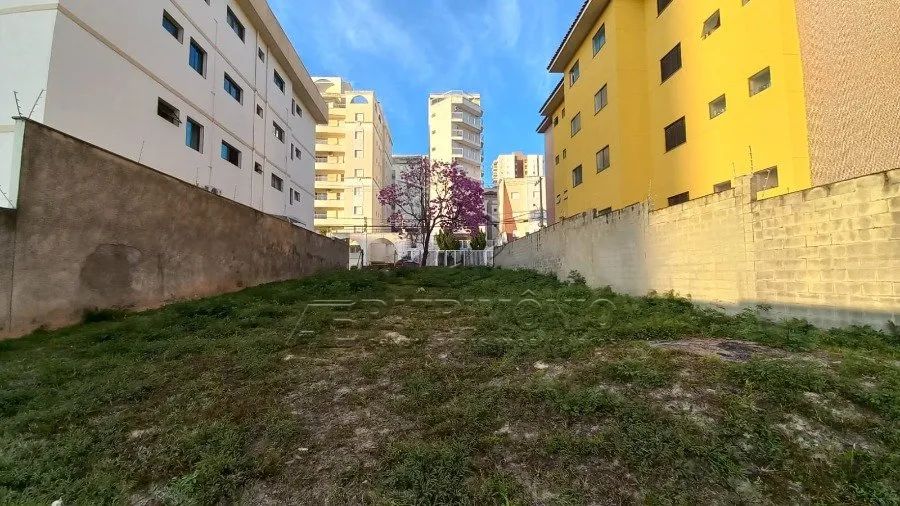TERRENO CAMPOLIM - Foto 5