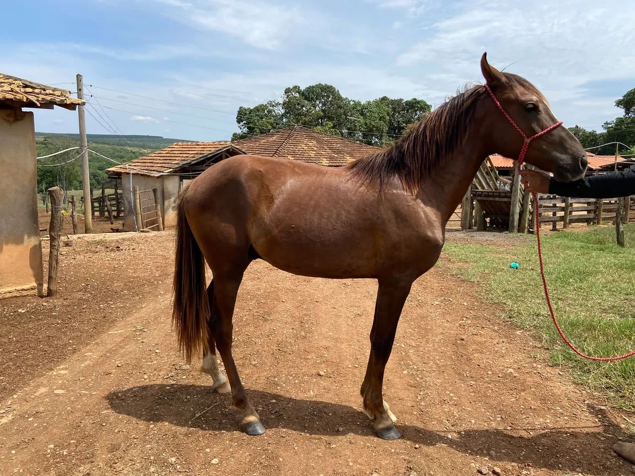 Vendo - Foto 3
