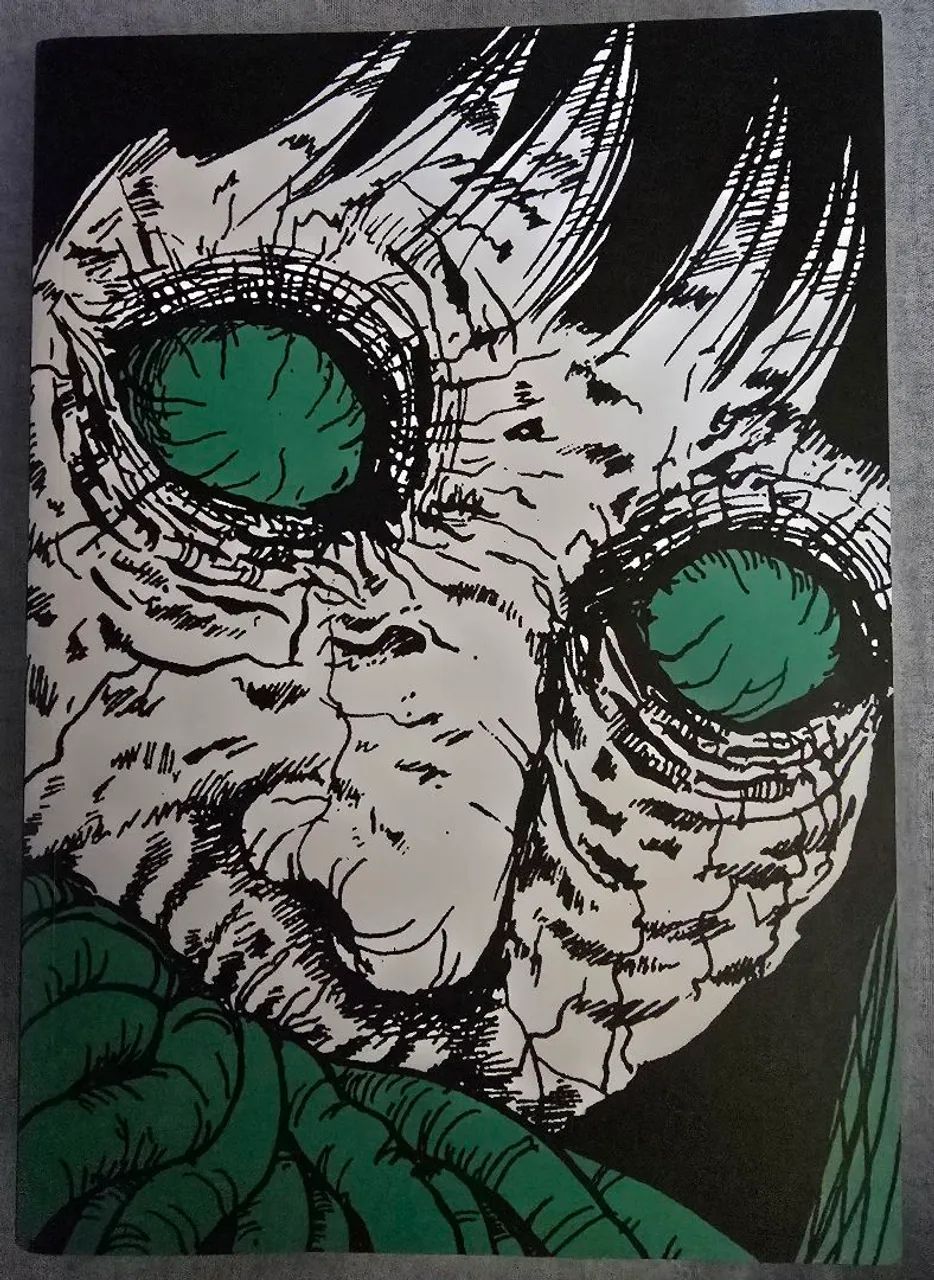 Manga O Beco- Junji Ito - Foto 4