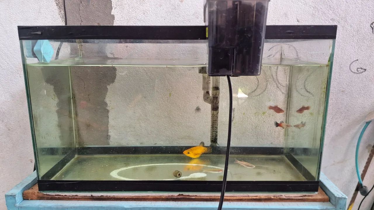 Aquario 25L  - Foto 2