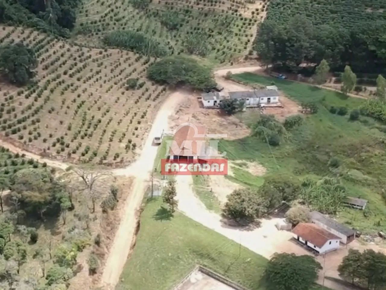 Fazenda Produtora de Café em SP (164 Hectares) - Foto 2