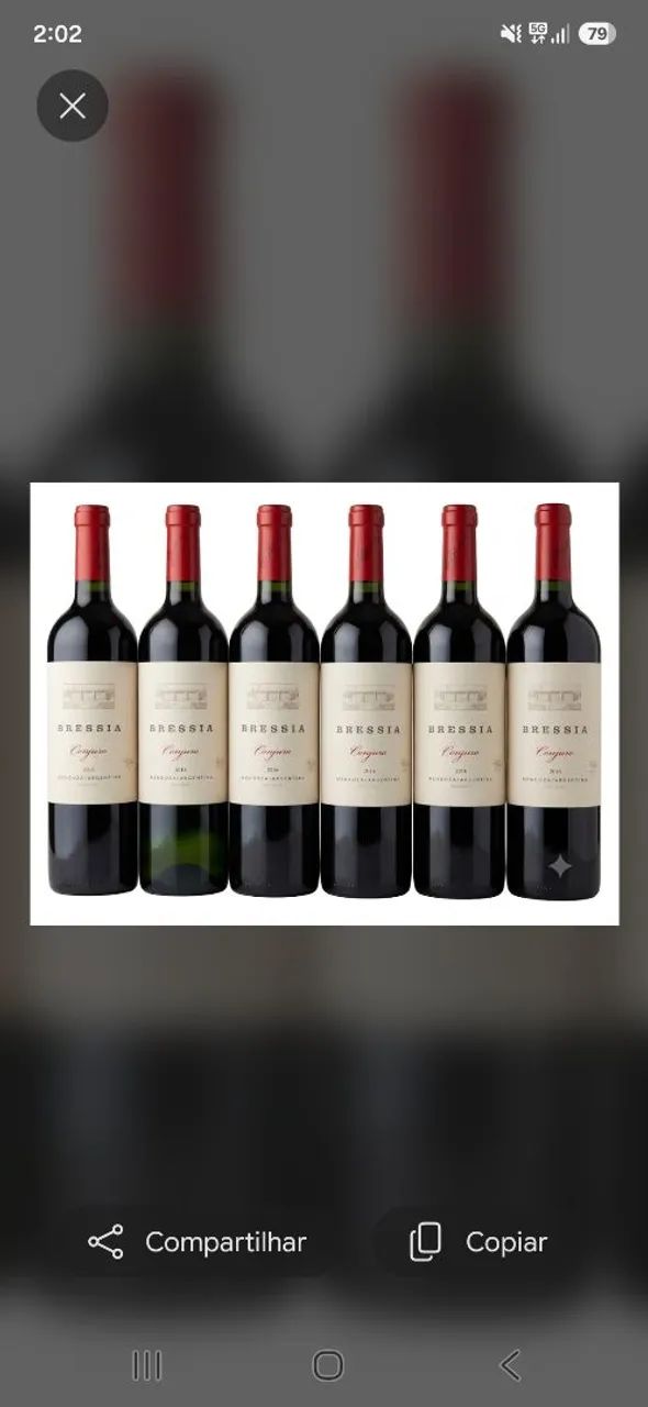 Vinho argentino