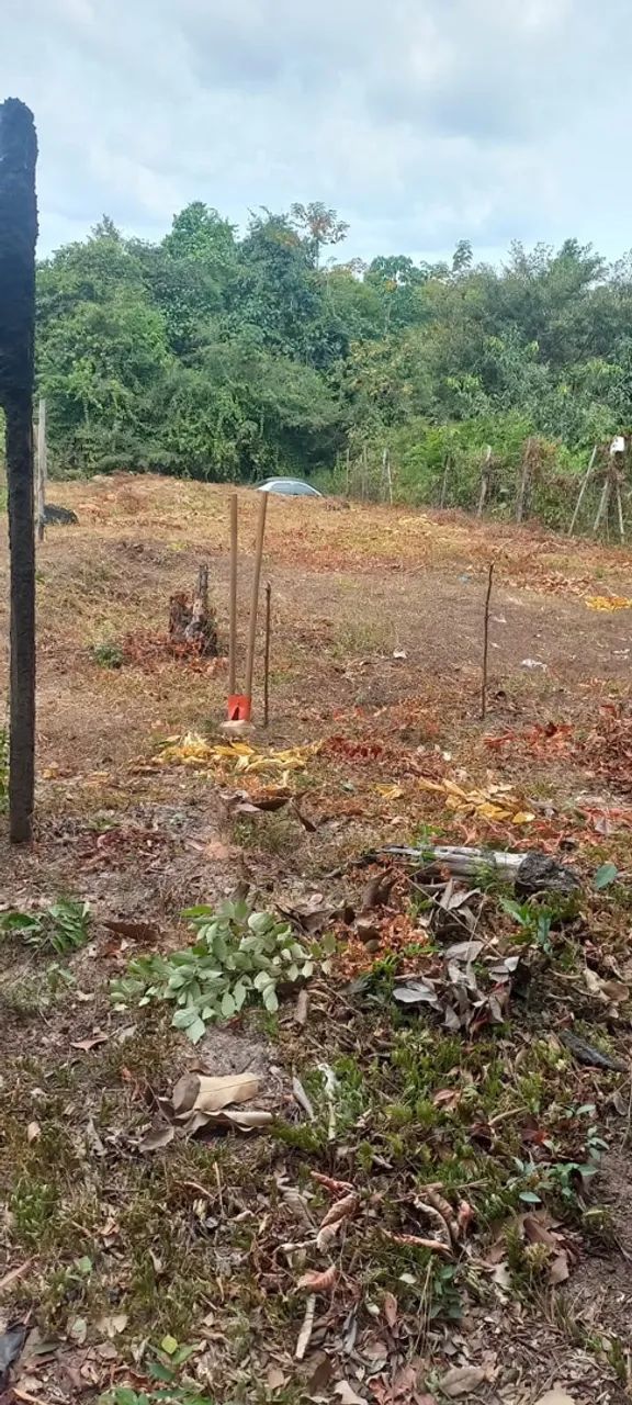 Vendo ou troco terreno  - Foto 2