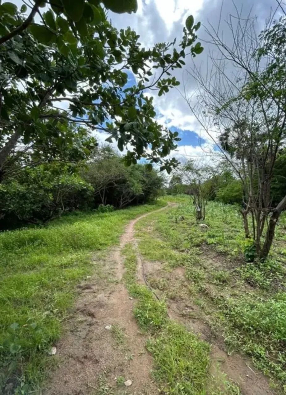 Sítio a venda em Pacatuba de 48,7 hectares  - Foto 4