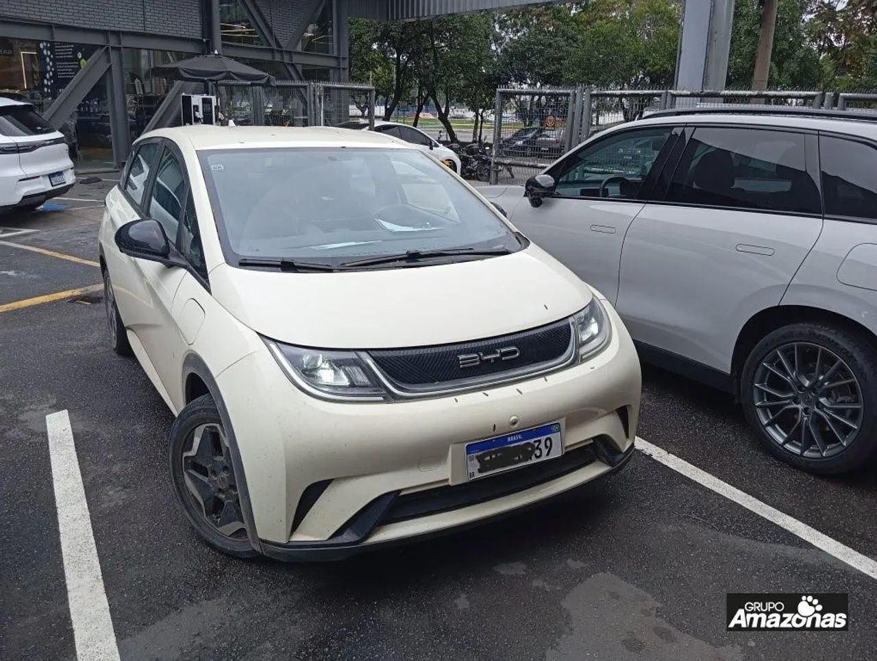 BYD Dolphin EV (Elétrico) 2024 - Foto 3
