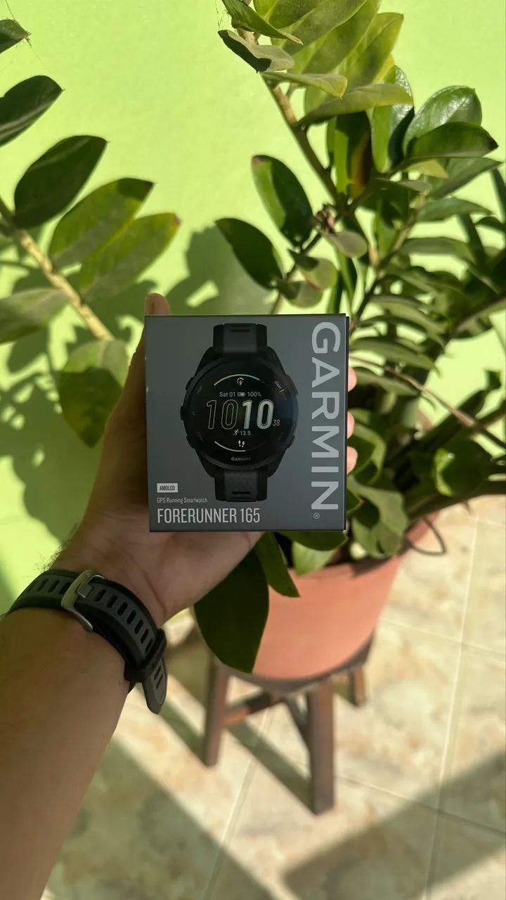 Garmin FR 165