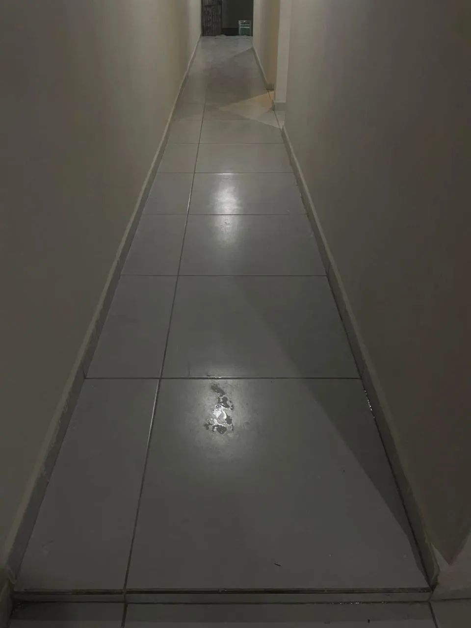 Casa recém formada  - Foto 4