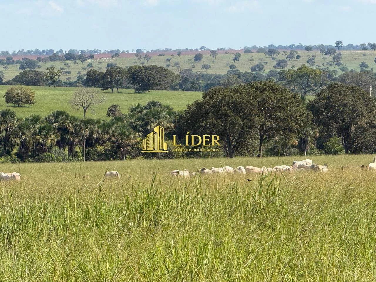 FAZENDA À VENDA  CAMPINA VERDE/MG - Foto 5