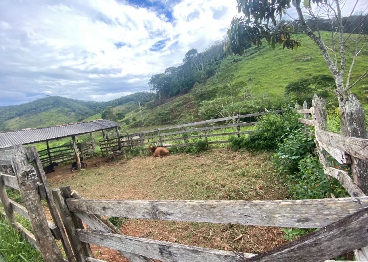 Vendo ou troco terreno 