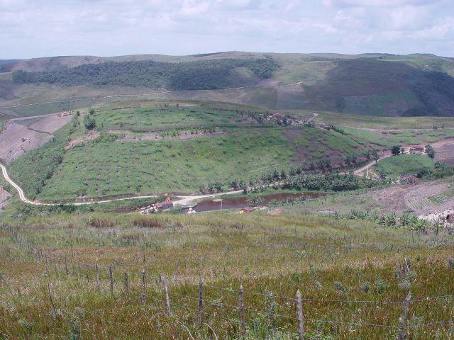 Fazenda com 80 hectares em Amaraji/Pe - REF. 286 - Foto 2