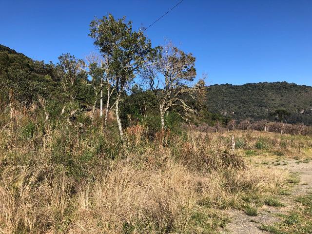 Excelente terreno a venda em Urubici. - Foto 7