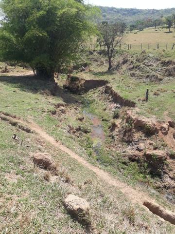 Terreno São Luis Montes Belos - Foto 8