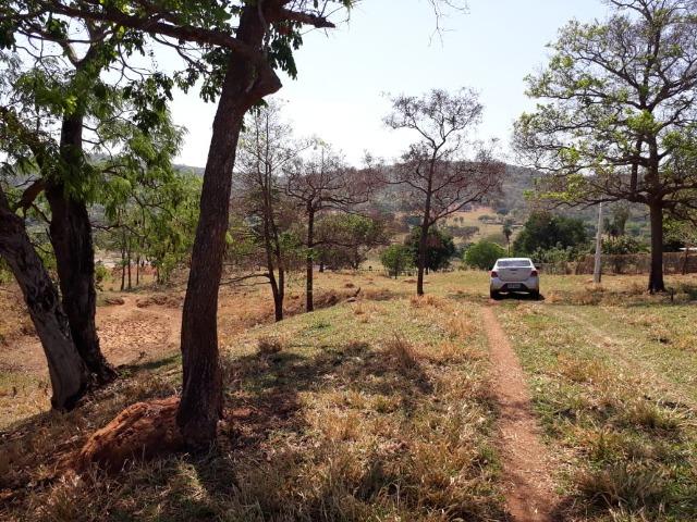 Terreno São Luis Montes Belos - Foto 11