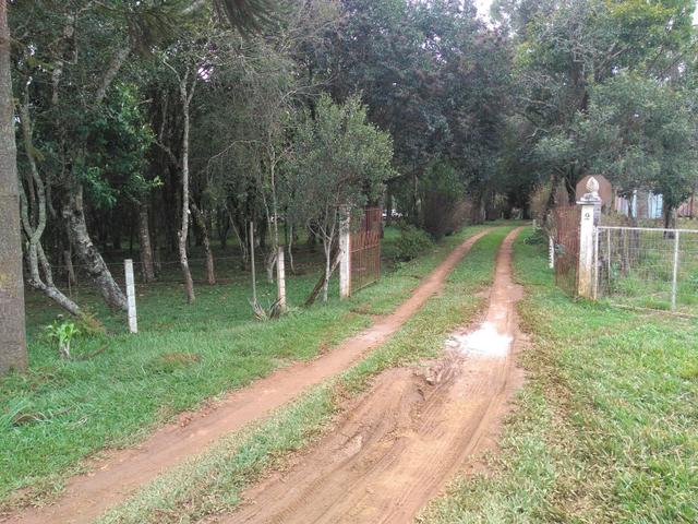Chácara de 1 Alqueire . 4 km do Jordão - Guarapuava PR - Foto 9