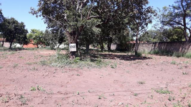 Vendo lote na comercial vicinal AV LO 25 1104 sul - Foto 3