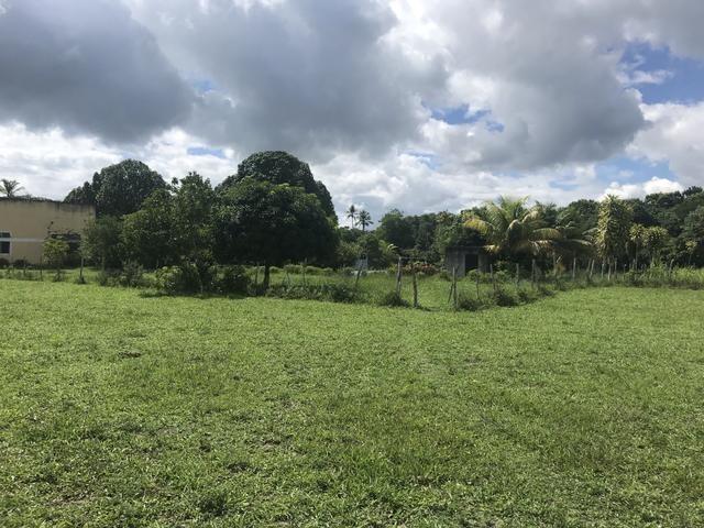 Granja, sítio, área, fazenda em Igarassu, Porto do vasco na estrada de mangue seco! - Foto 19