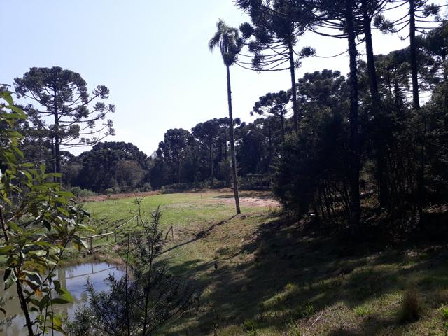 Vendo ou troco Chacara - Foto 8