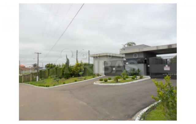 Terreno residencial à venda, vila torres i, campo largo - te0117. - Foto 4