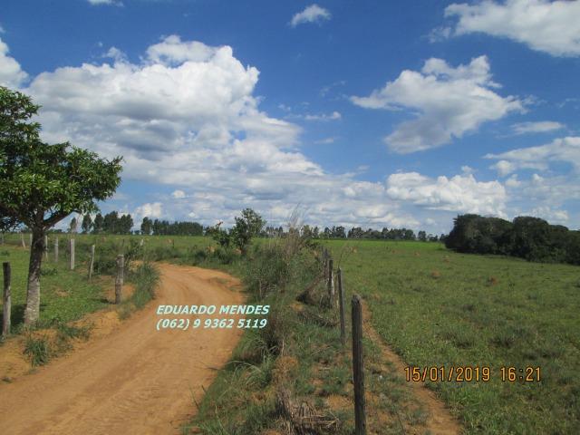 Terra c/ um alqueire sem benfeitorias, 600 metros da BR 060 Abadiânia, expansão Urbana - Foto 16