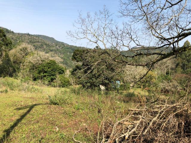 Área - Foto 3