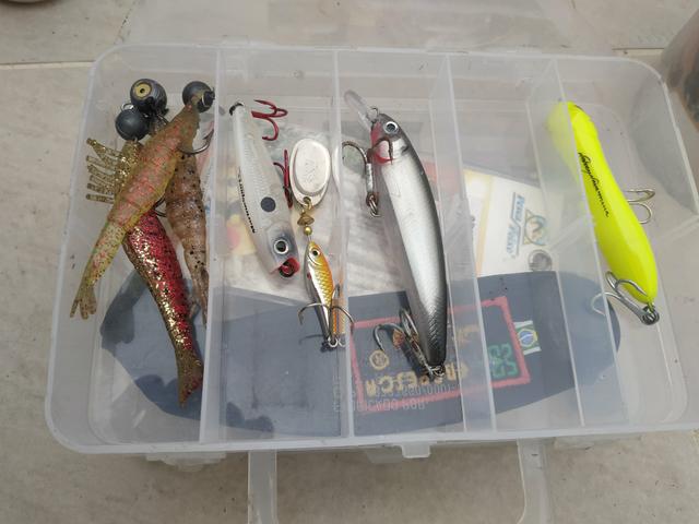 Pesca - Foto 4