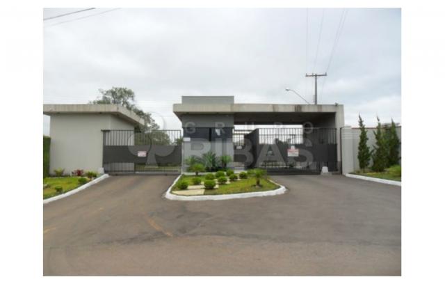 Terreno residencial à venda, vila torres i, campo largo - te0117. - Foto 3