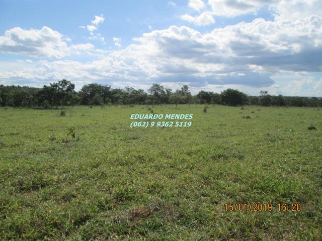 Terra c/ um alqueire sem benfeitorias, 600 metros da BR 060 Abadiânia, expansão Urbana - Foto 18