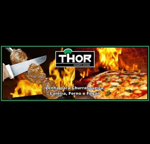 Lenhas Thor - Foto 4