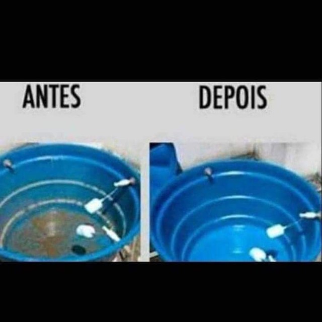 Limpeza de Caixa D'água e Cisternas  - Foto 5