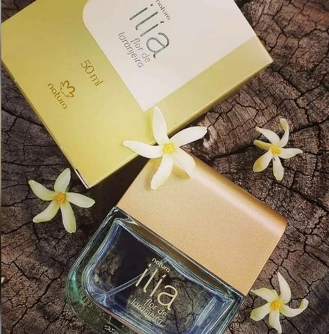 Perfume ekos madeira em flor | +12 anúncios na OLX Brasil